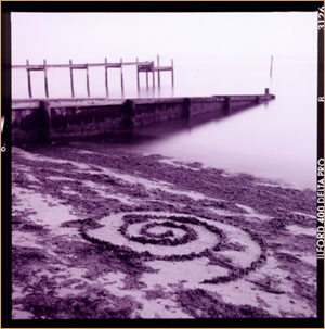 SEAWEEDSPIRAL by: Stu Jenks